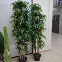 Бамбук Азиатский 220см 7ств