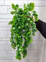 Самшит искусственное ампельное растение В75см