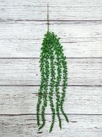 Суккуленты куст ампельное растение В 60см