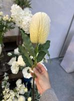 Банксия В65см