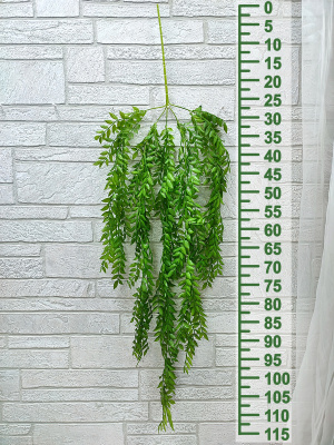 Иглица ампельное растение В115см\1565