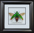 Жук - златка №800 Chrysochroa fulminans Жук - златка №800 Chrysochroa fulminans